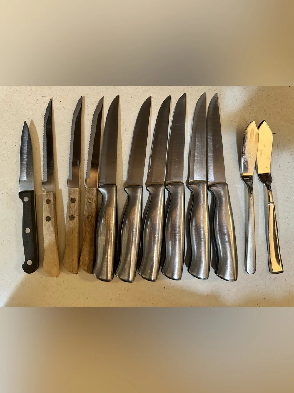 Stainless Steel Steak Knife Set of 10 w/two butter knives